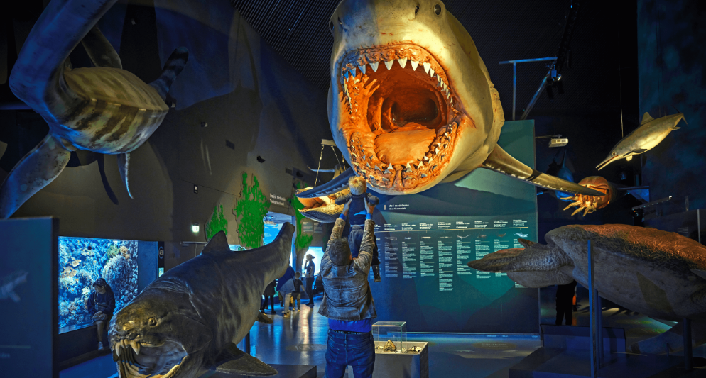 Thuỷ cung SEA LIFE London