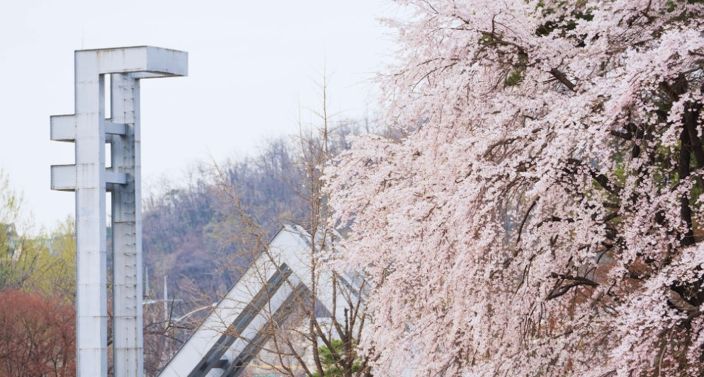 Đại học Quốc gia Seoul