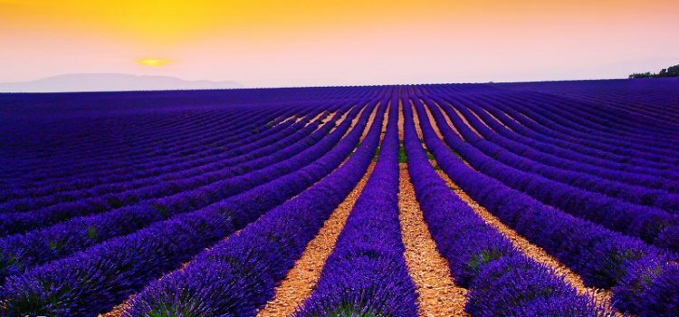 Time Out Dubai công bố 10 điểm du lịch hấp dẫn tháng 7