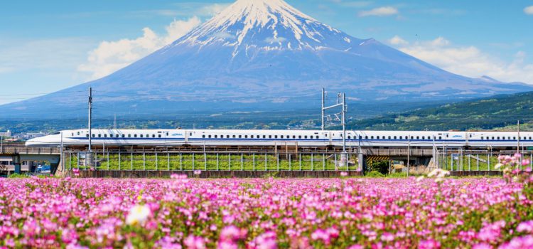 6 trải nghiệm khi du lịch Nhật Bản mùa xuân