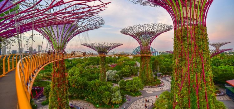 Đi du lịch Singapore lần đầu tham quan ở đâu?