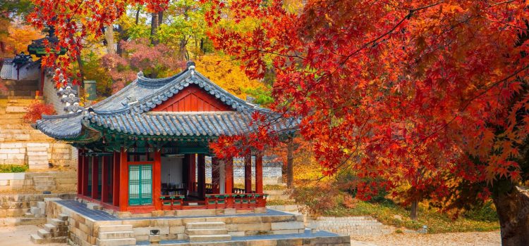 Cung điện ở Hàn Quốc rực rỡ sắc thu