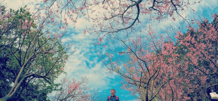 Tận hưởng không gian xanh mát tại Đài Loan mùa hè